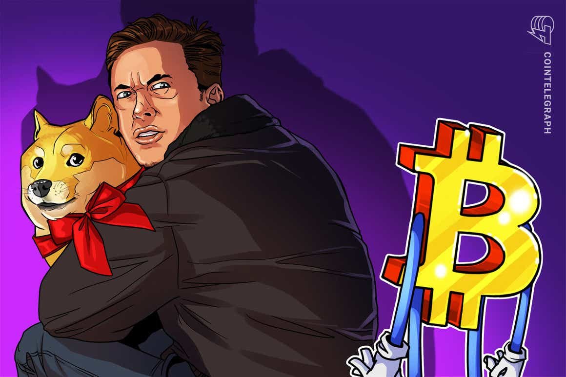 Dogecoin is better than Bitcoin for payments, Elon Musk declares